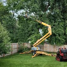 Trusted Bessemer City, NC Tree Care Experts